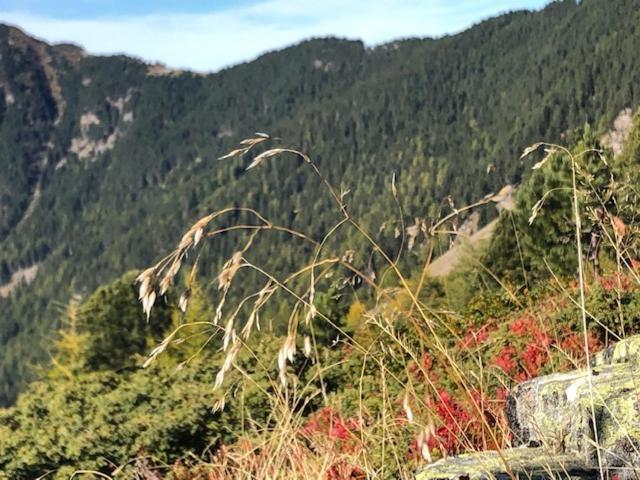 Alpapart - Innsbruck 艾伦伯根 外观 照片